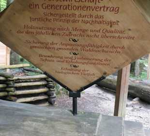 Wanderung auf dem Bergwald-Erlebnispfad