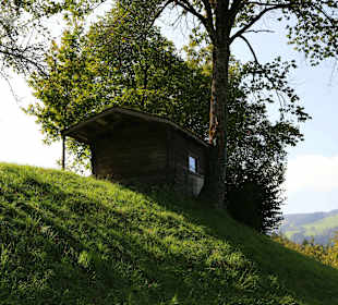 Wandern Reith im Alpbachtal