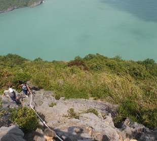 Die Hälfte der Qual