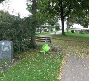 Friedhof Auingen