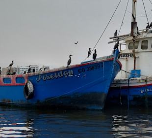 Hafen - Es geht los