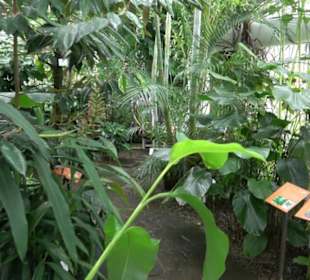 Tropicarium