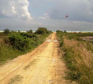 Naturschutzgebiet dei Pini