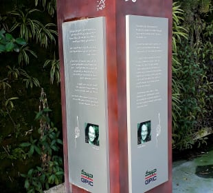 Vertical Garden
