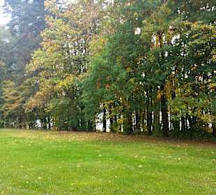 Ufergelände viele Liegewiesen