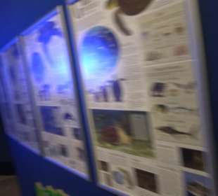 National Aquarium Malta