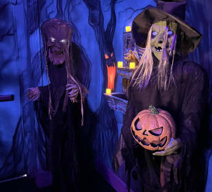 Haunted House of Hamburgers