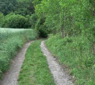 Schutzgebiet Spitzberg, Pfaffenberg