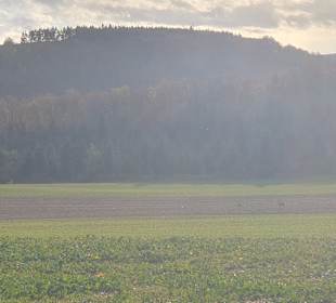 Wandern Markt Sankt Martin