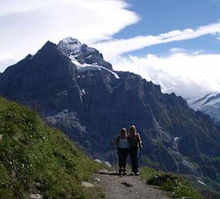 Wetterhorn im Hintergrund 