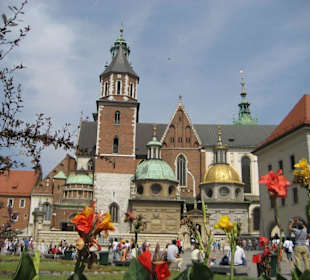 Wawel