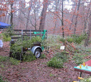 Waldbasar in Dudenhofen