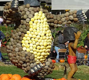 Kürbisausstellung