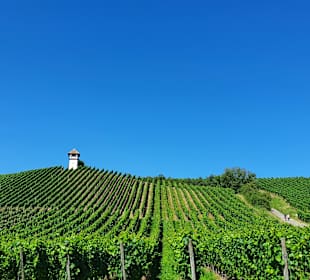 Uferpromenade Meersburg