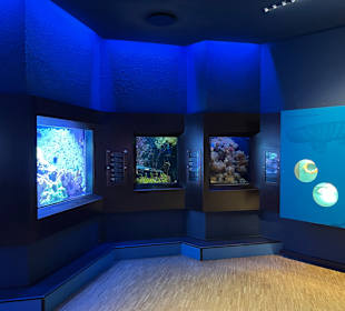 Aquazoo Löbbecke Museum Düsseldorf