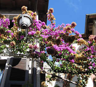 Gasse in Limone