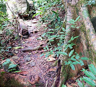 Parque Natural Obô do Príncipe
