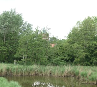 Auf der Insel Neuwerk