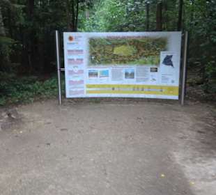 Dinosaurier Museum Altmühltal