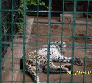 Besuch im Berliner Zoo