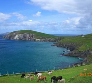 Slea Head - das Ende der Welt