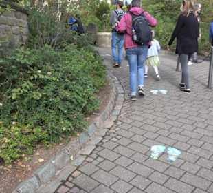 Erlebnispark Tripsdrill