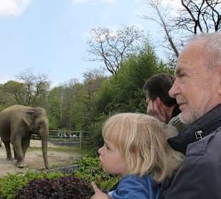 Tierpark Hellabrunn