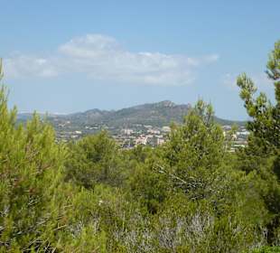 Blick aus dem Naturschutzgebiet 