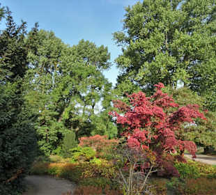 Rundgang durch das herbstliche "Planten un Blomen"
