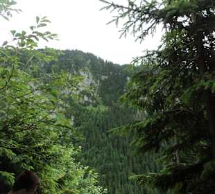 Tatrzański Park Narodowy