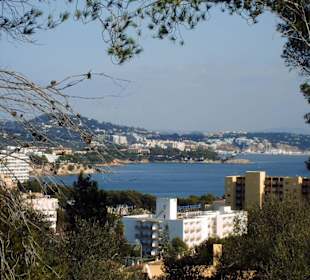 Palma Nova mit Bucht