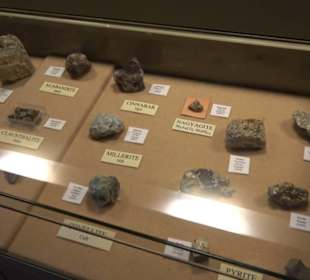 Naturhistorisches Museum