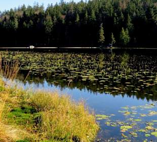 Bunt schimmert der See