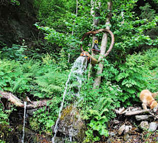 Picknickwanderung Wasserfall Unterberg