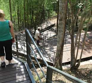 Treppen zum Hellfirepass