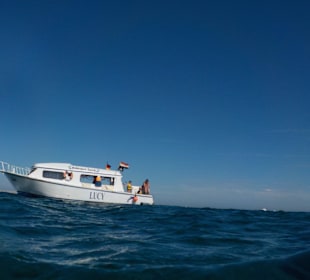 Rotes Meer/Red Sea - Hurghada - Lucy