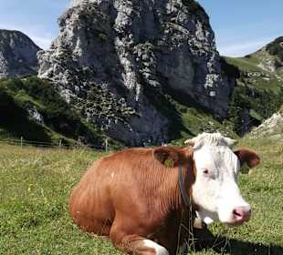 Wendelstein-Wanderung