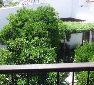 Schöner Garten im Innenhof