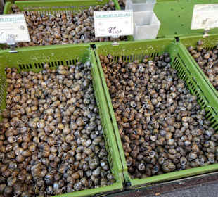 Impressionen vom Marché Cassanyes
