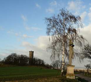 Blick auf die Wallburg