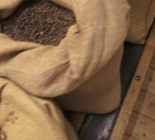 Spicy's Gewürzmuseum