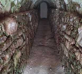 Eine von vielen Tunnel.