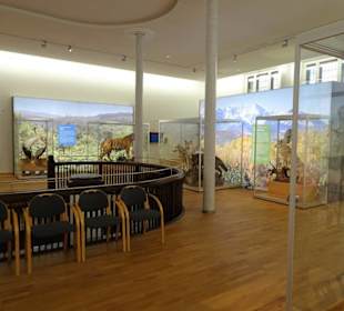Blick in die Ausstellungsräume des Museums