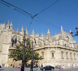 Katedra w Sevilli