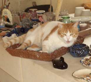 Leider unverkäuflich