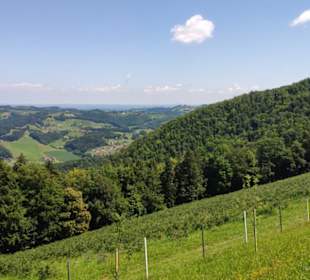 Richtung Aussichtswarte