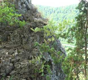 Rötelstein Traifelberg