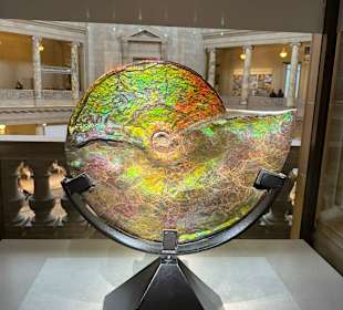 Kunstwerk aus der Natur.