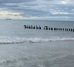 Strand Seebad Ückeritz