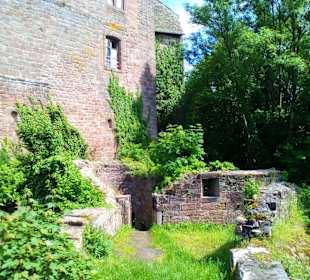 Schloss Lützelstein in La Petite Pierre